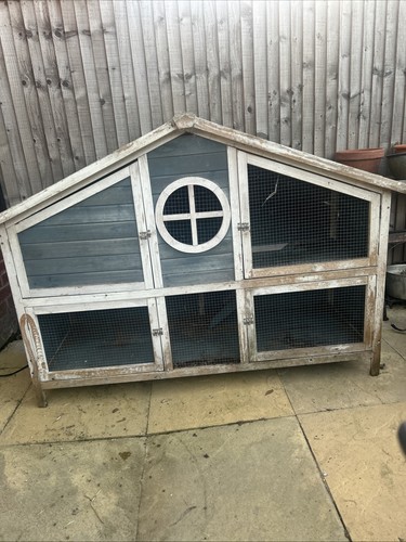 Pets home foxglove guinea - at,
